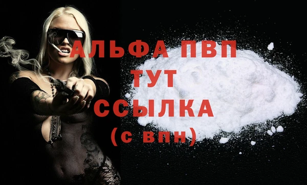 стаф Осташков