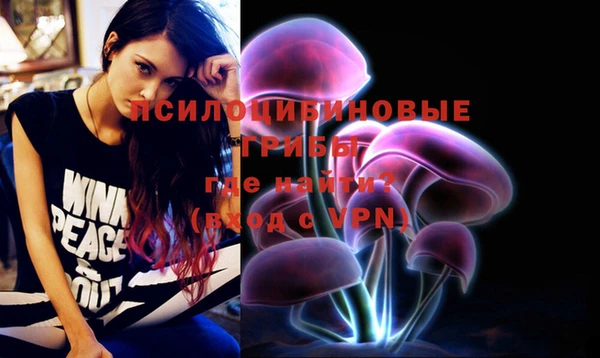 дурь Осинники
